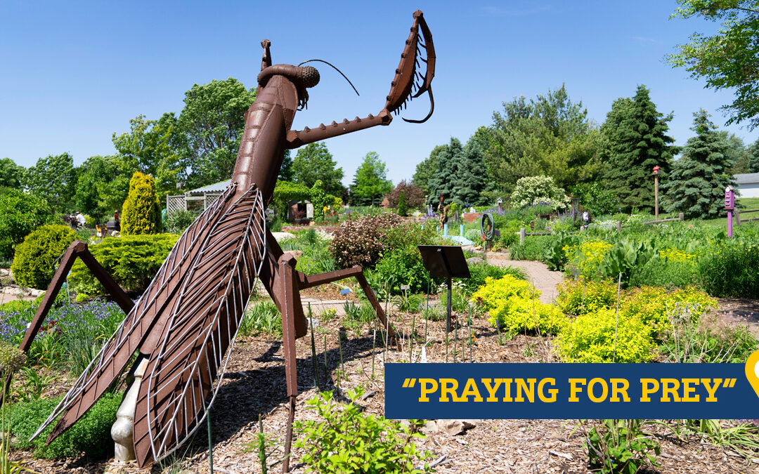 “Praying for Prey” Sculpture by John Brommel